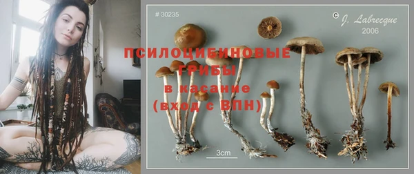 хмурый Арсеньев