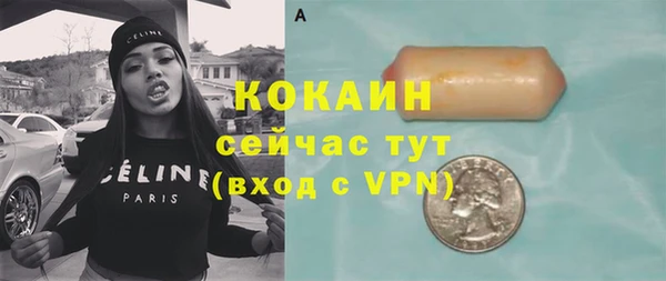 хмурый Арсеньев