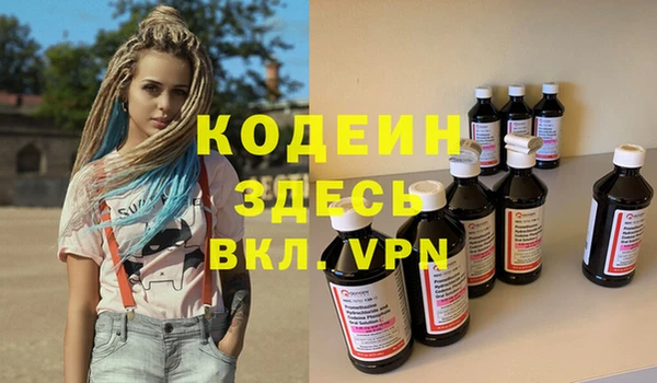 хмурый Арсеньев