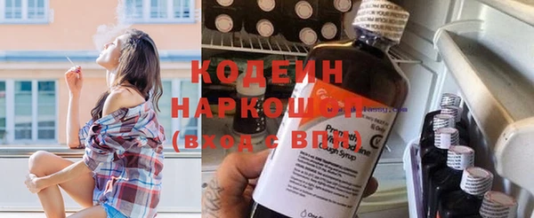 хмурый Арсеньев