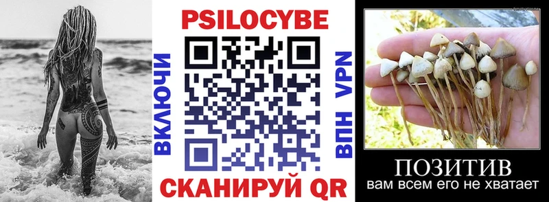 Купить  Невьянск  Псилоцибиновые грибы мицелий 